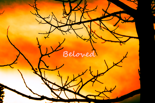 Beloved