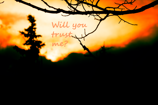 Trust Me